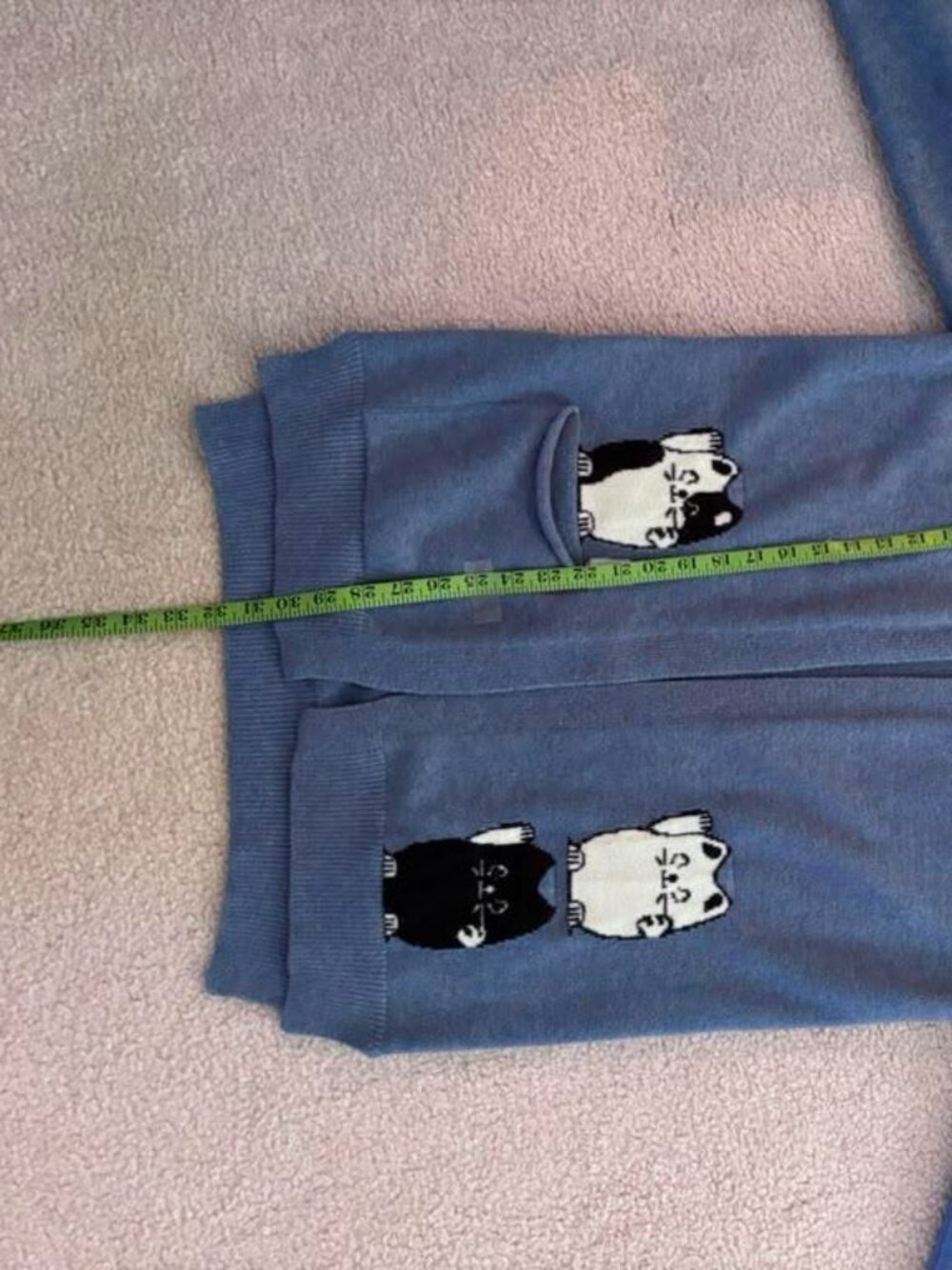 Blue Cat Pocket Hooded Cardigan Sweater Kawaii Cottagecore Cat Lover Size M-L - Picture 7 of 7